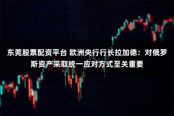 东莞股票配资平台 欧洲央行行长拉加德：对俄罗斯资产采取统一应对方式至关重要