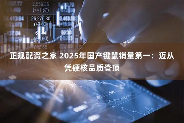 正规配资之家 2025年国产键鼠销量第一：迈从凭硬核品质登顶