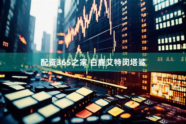 配资365之家 白鹿艾特闵塔鲨