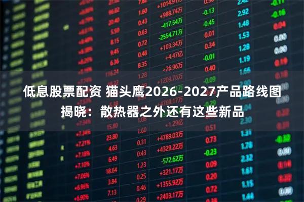 低息股票配资 猫头鹰2026-2027产品路线图揭晓：散热器之外还有这些新品